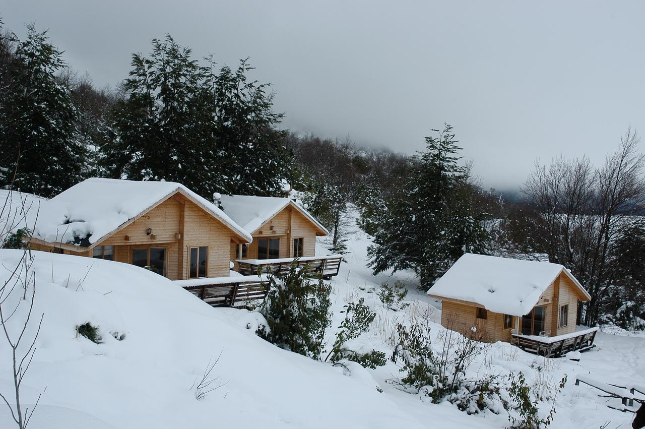 Vista Hermosa Conguillio Βίλα Εξωτερικό φωτογραφία
